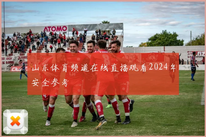 山东体育频道在线直播观看2024年安全参考