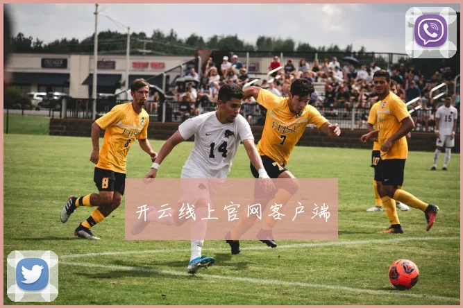 开云线上官网客户端