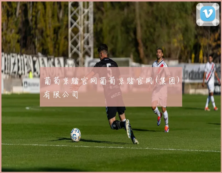 葡萄京赌官网葡萄京赌官网(集团)有限公司