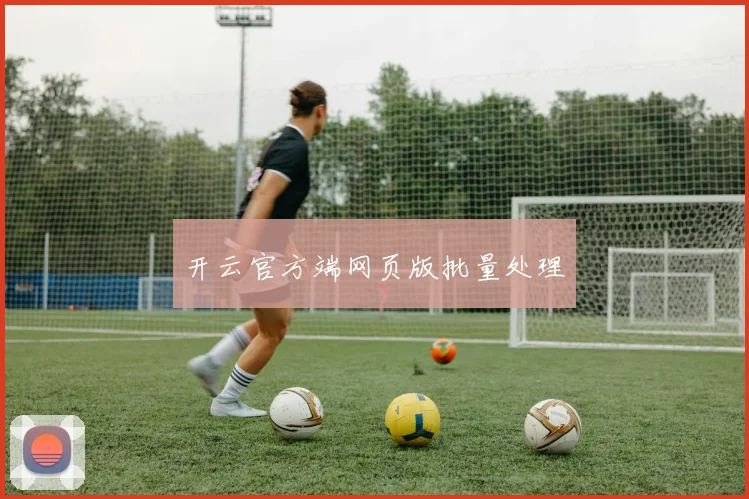 开云官方端网页版批量处理