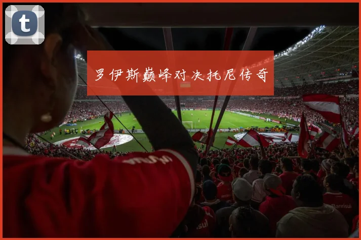 罗伊斯巅峰对决托尼传奇