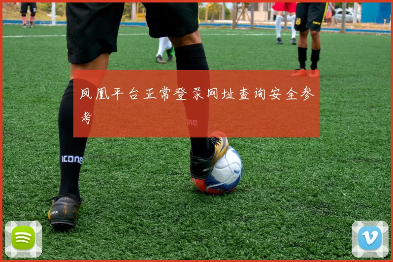 凤凰平台正常登录网址查询安全参考