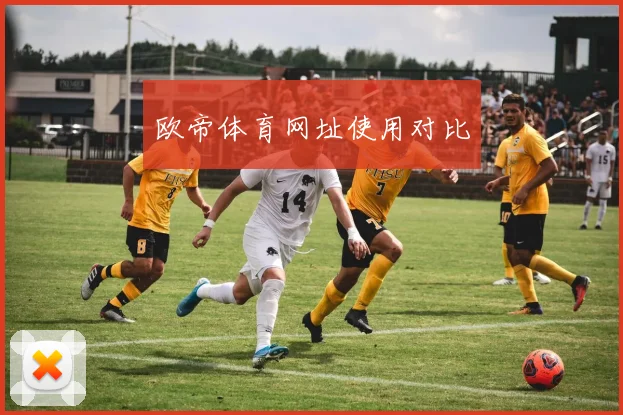 欧帝体育网址使用对比