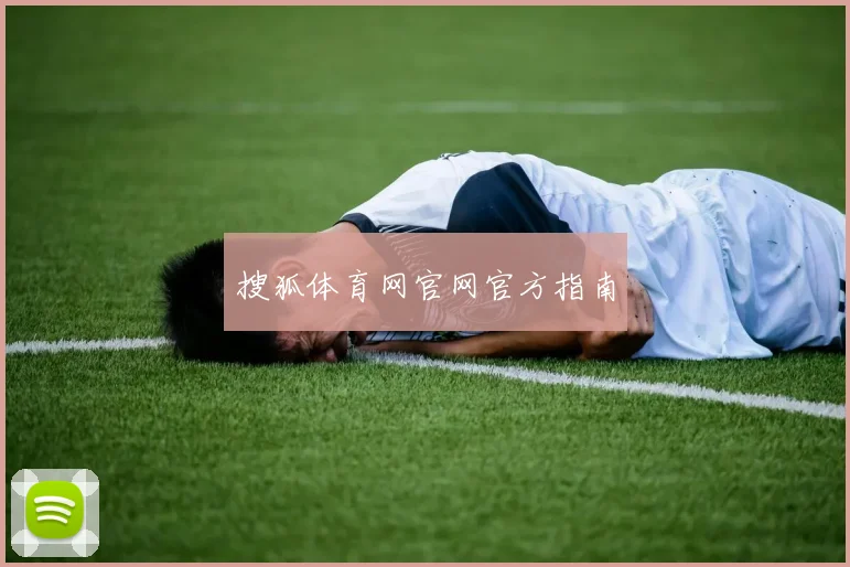 搜狐体育网官网官方指南