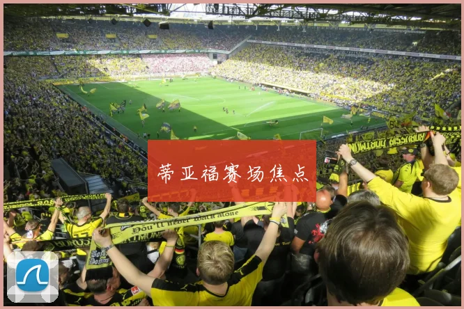 蒂亚福赛场焦点