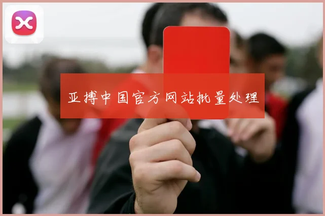 亚搏中国官方网站批量处理