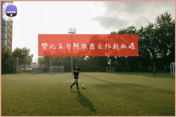 赞比亚与阿联酋合作新机遇