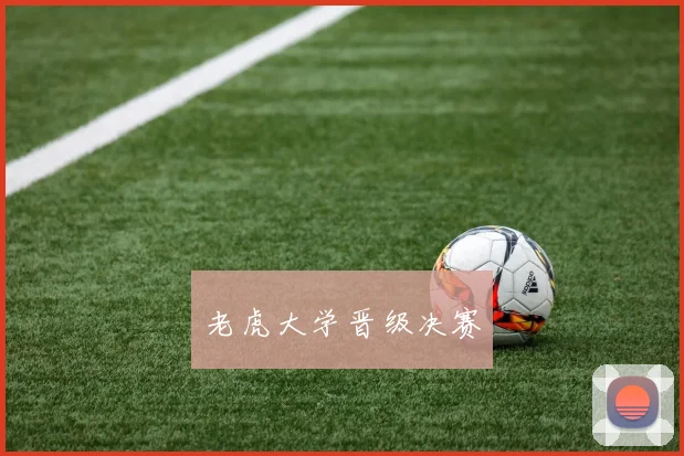 老虎大学晋级决赛