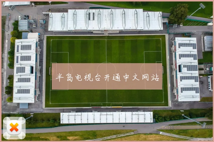 半岛电视台开通中文网站