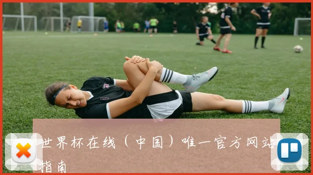 世界杯在线（中国）唯一官方网站指南