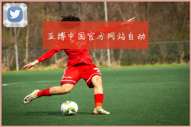 亚搏中国官方网站自动