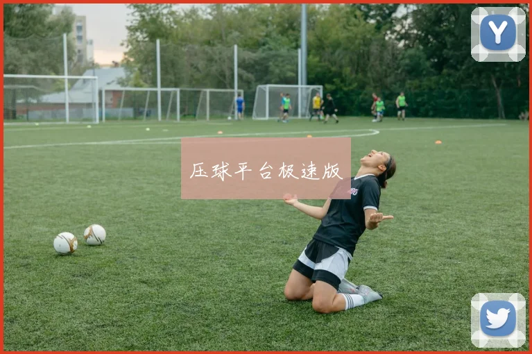 压球平台极速版