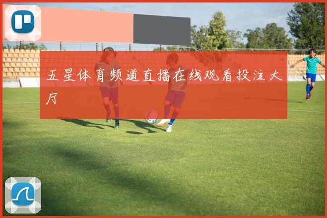 五星体育频道直播在线观看投注大厅