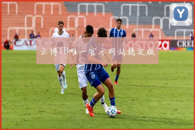 云博YB唯一官方网站稳定版