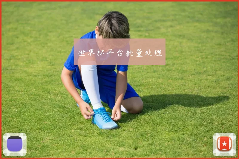 世界杯平台批量处理