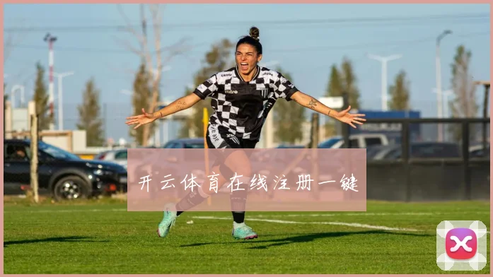 开云体育在线注册一键