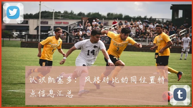 认识凯塞多：风格对比的同位置特点信息汇总