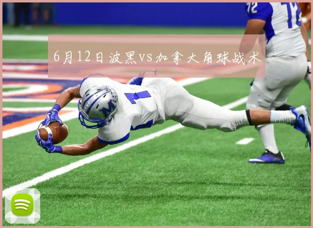 6月12日波黑vs加拿大角球战术