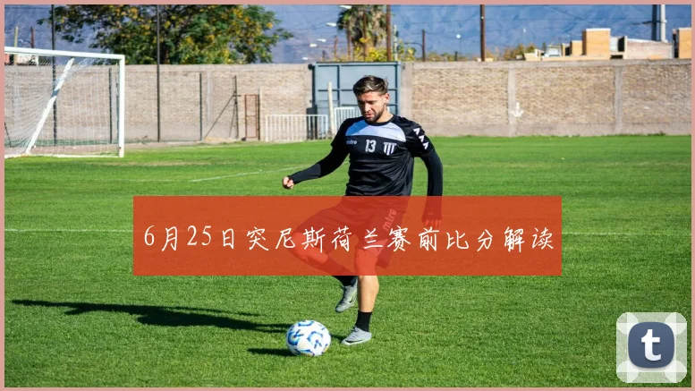 6月25日突尼斯荷兰赛前比分解读