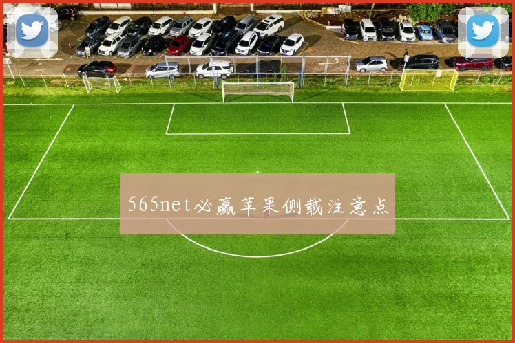 565net必赢苹果侧载注意点